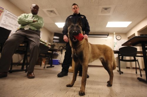 Oak Park PD's newest partners - Ofc. Leitl and Trooper